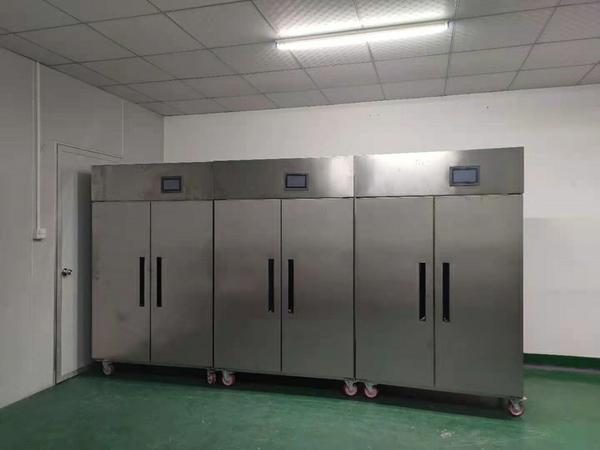 華世大帝守護記:西安館藏恒溫柜揭秘!