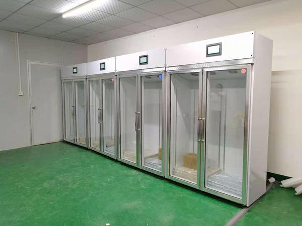 華世大帝守護:珠海館藏珍寶恒溫恒濕柜選購秘籍