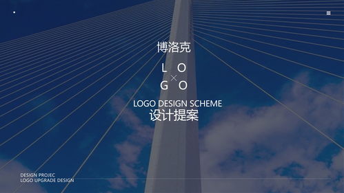 博洛克科技 從原創(chuàng)視覺(jué)到品牌價(jià)值的logo設(shè)計(jì)之道